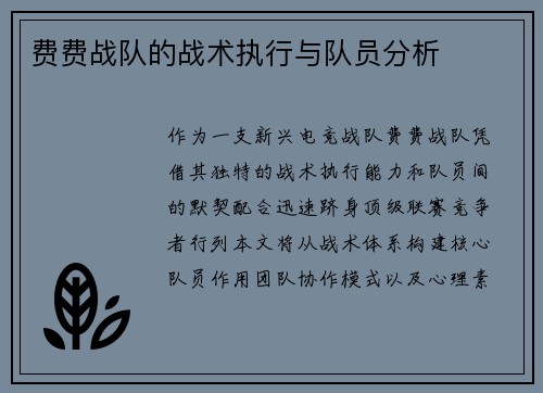 费费战队的战术执行与队员分析