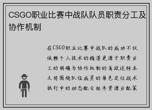 CSGO职业比赛中战队队员职责分工及协作机制