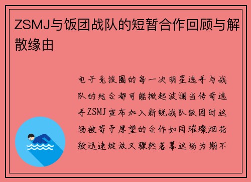 ZSMJ与饭团战队的短暂合作回顾与解散缘由